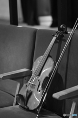 Ｖｉｏｌｉｎ