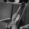 Ｖｉｏｌｉｎ