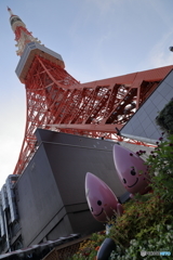 東京タワー！