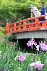 夏のひととき