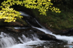 八重滝の紅葉