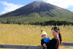 鳥取大山　コスモス畑