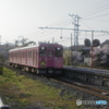 しまねっこ電車と桜