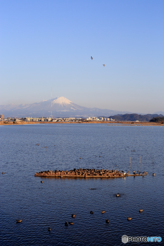 米子水鳥公園