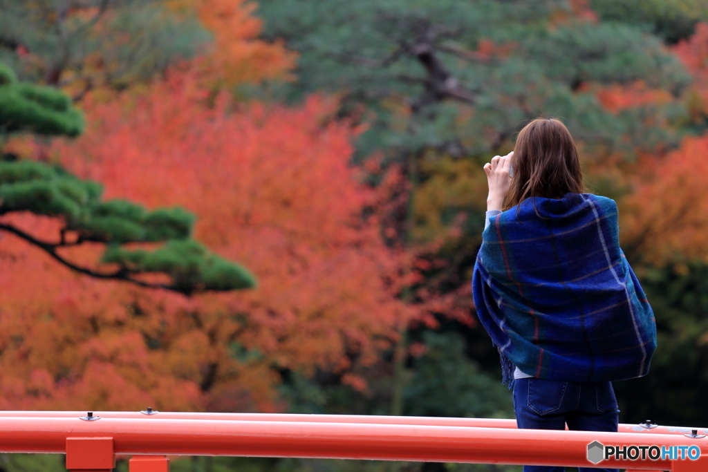 紅葉撮影