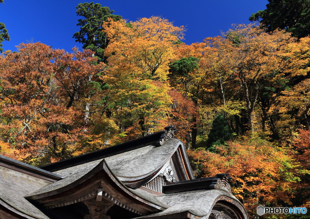 大山寺の紅葉