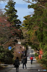 大山寺参道～弓ヶ浜