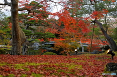 赤の景色
