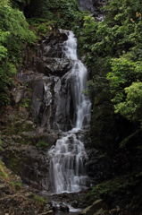 滝