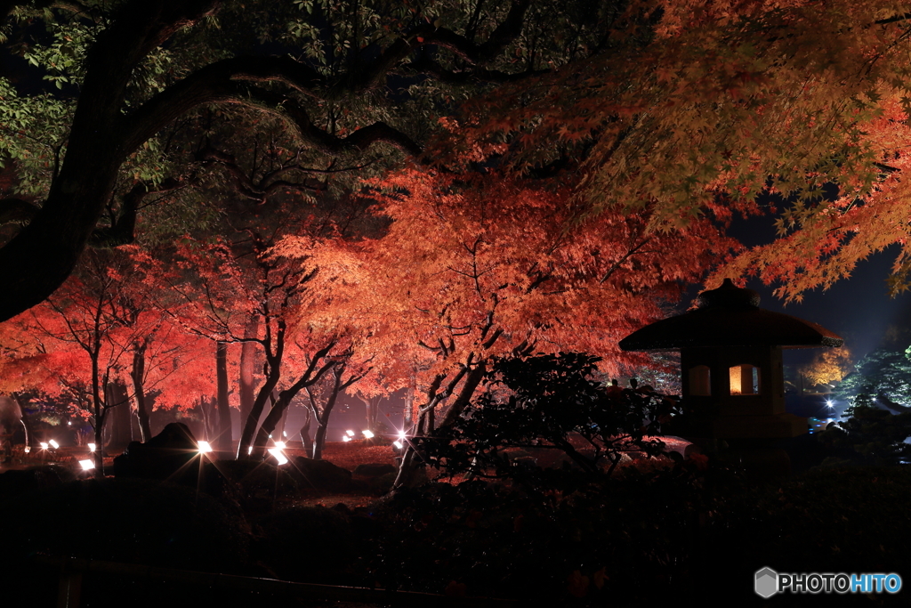 灯篭のある風景
