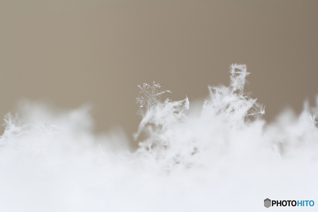 雪の結晶