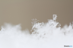 雪の結晶