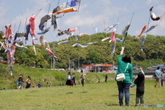 屋根より高い