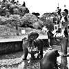 カバ親子の水飲み