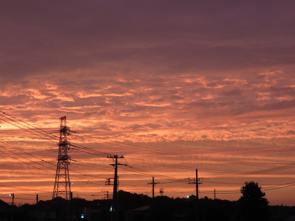 夕日