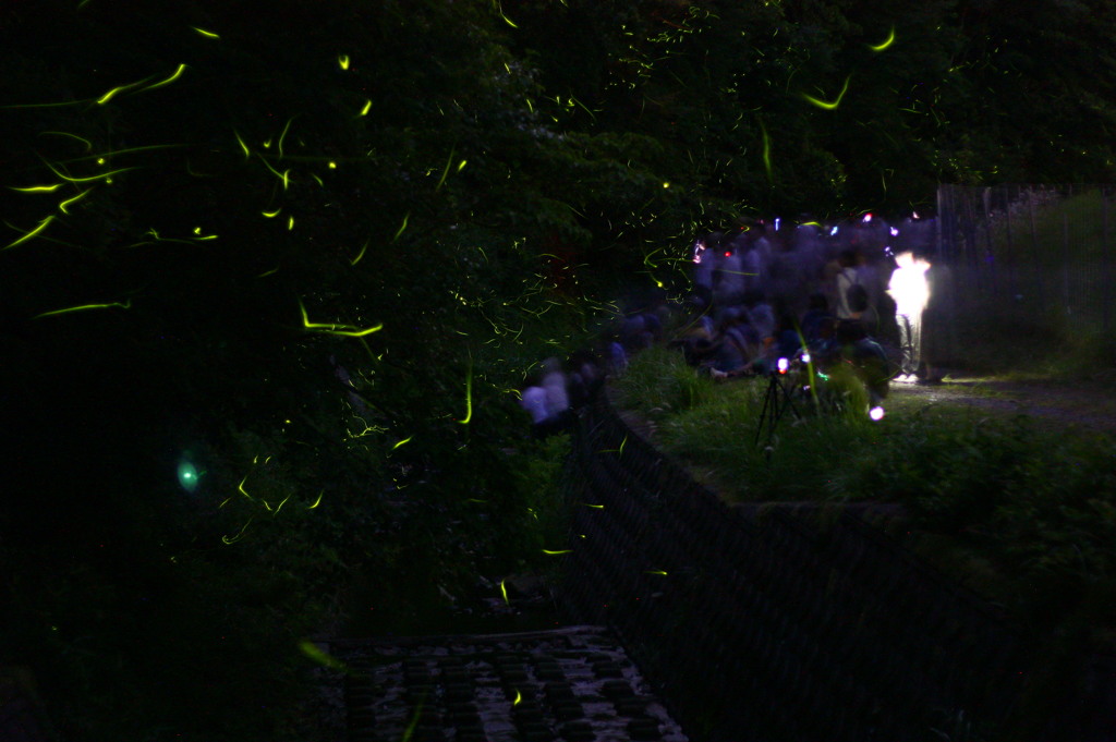 夏の夜の舞