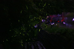 夏の夜の舞