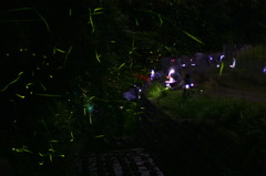 夏の夜の舞