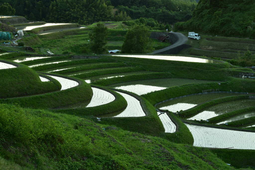 下赤坂の棚田