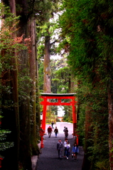 箱根神社。。。