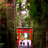 箱根神社。。。