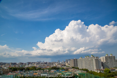 昨日の雲