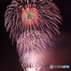 横浜に咲く夏の花。。。