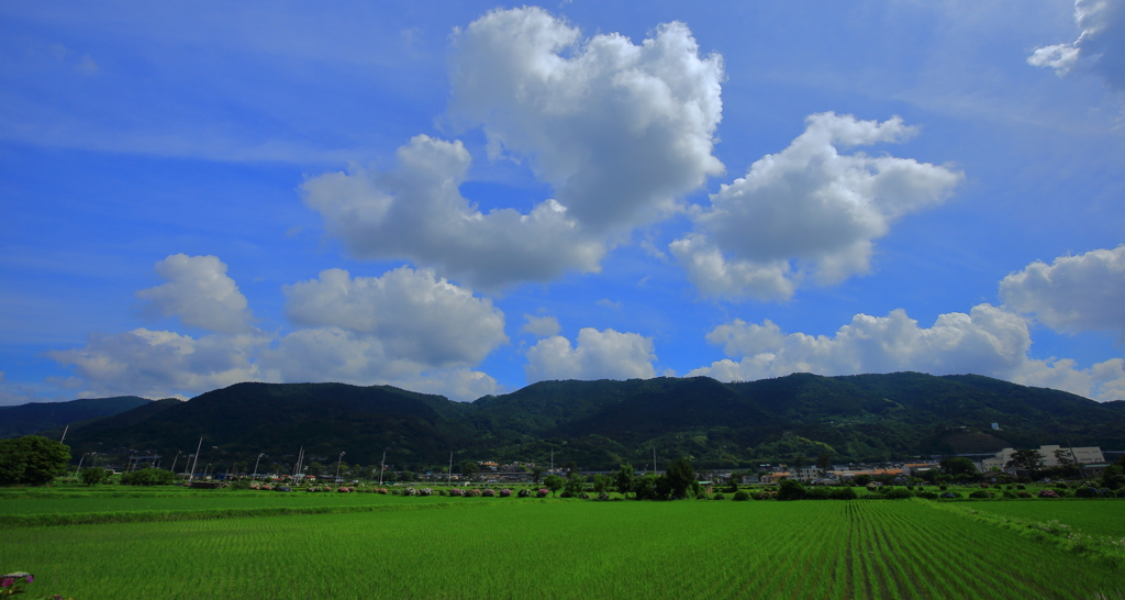 開成町