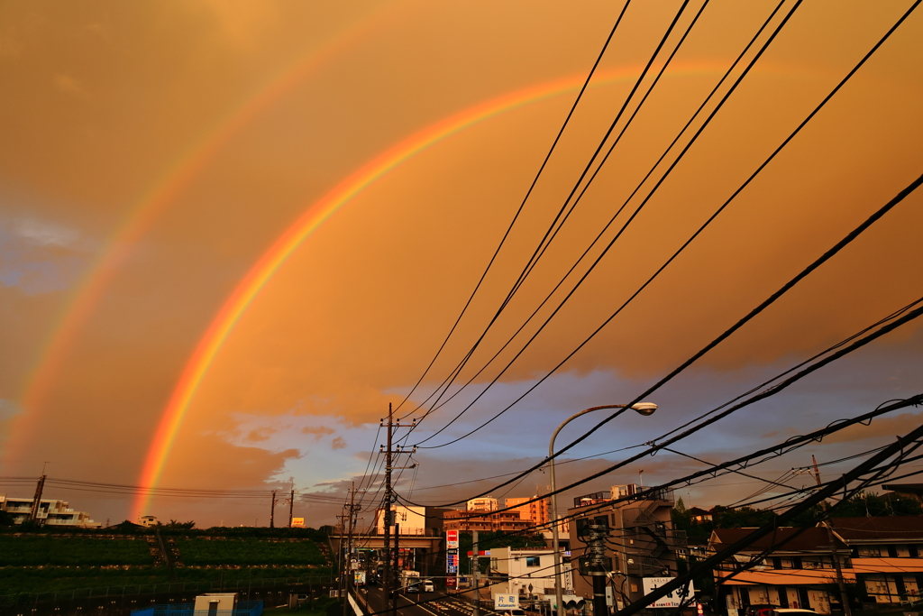 朝日に照らされる虹