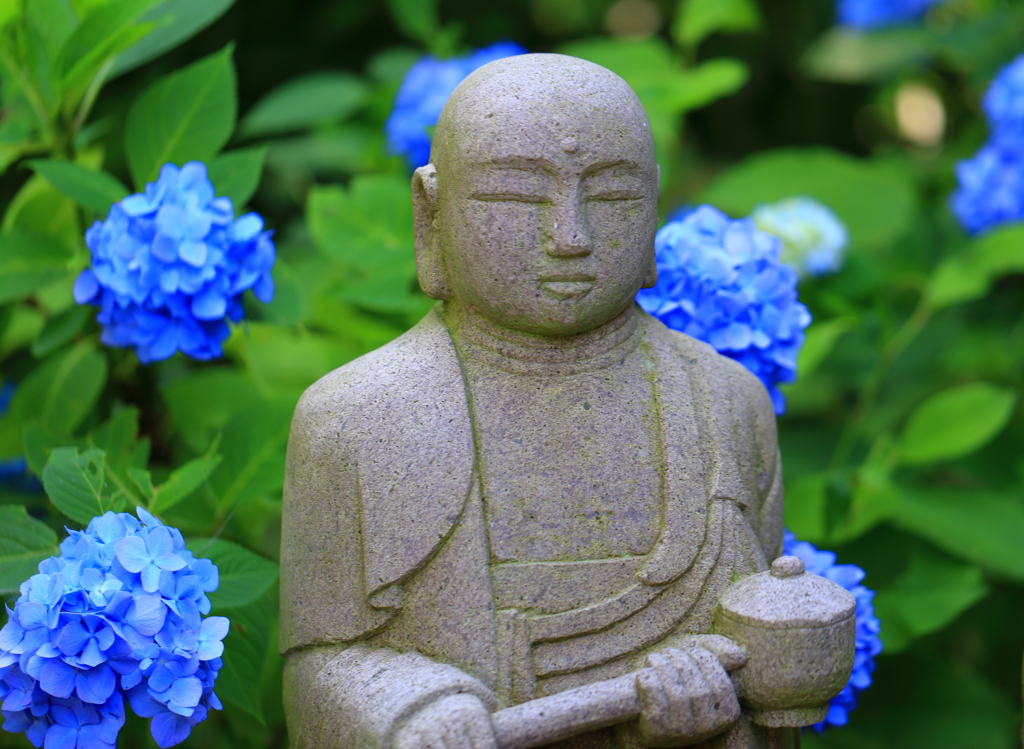 明月院５