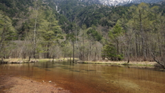田代池