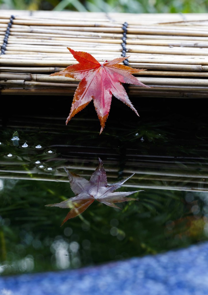 水面に映る紅葉　２