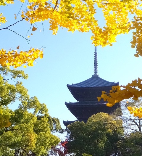 秋の東寺