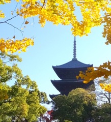 秋の東寺