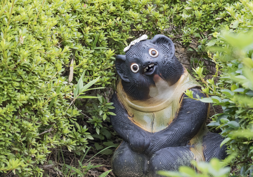 ようこそおいでやす。