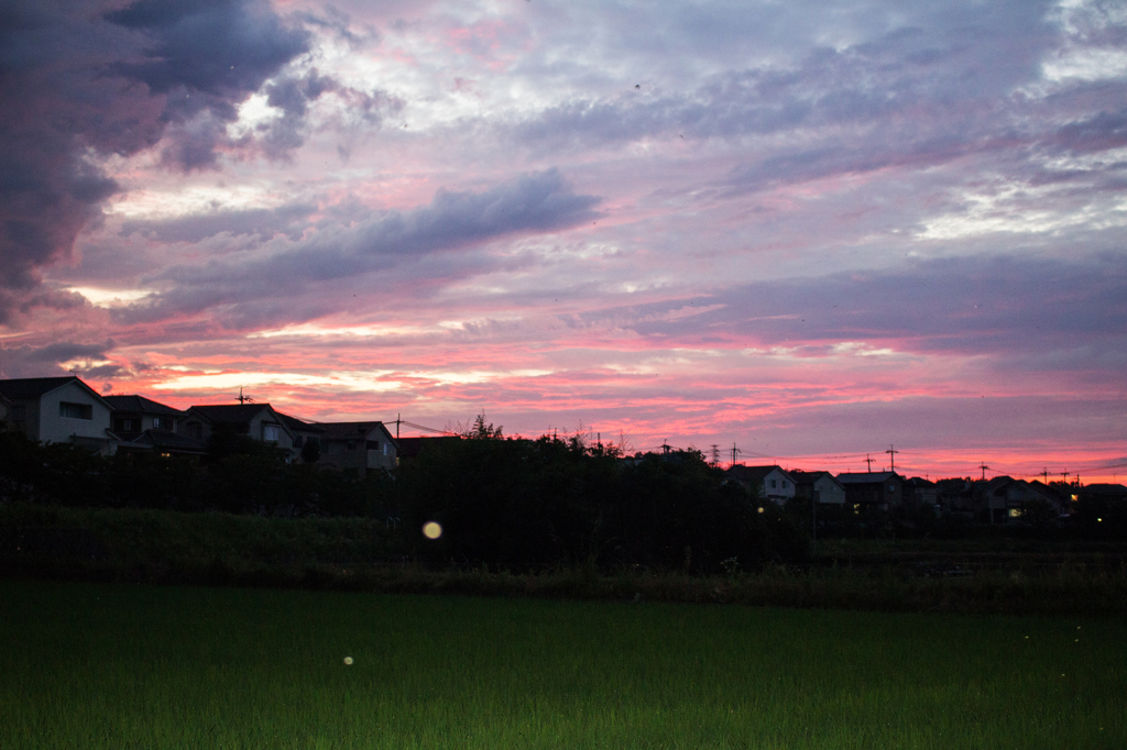 夕焼け