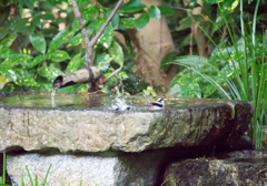 気持ちいいね❤️