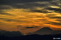 夕日が似合うやつ