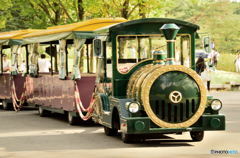 レトロ列車