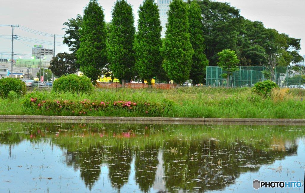 田んぼに水が入りました