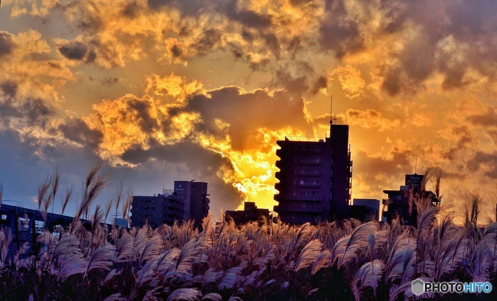 晩秋の夕暮れ