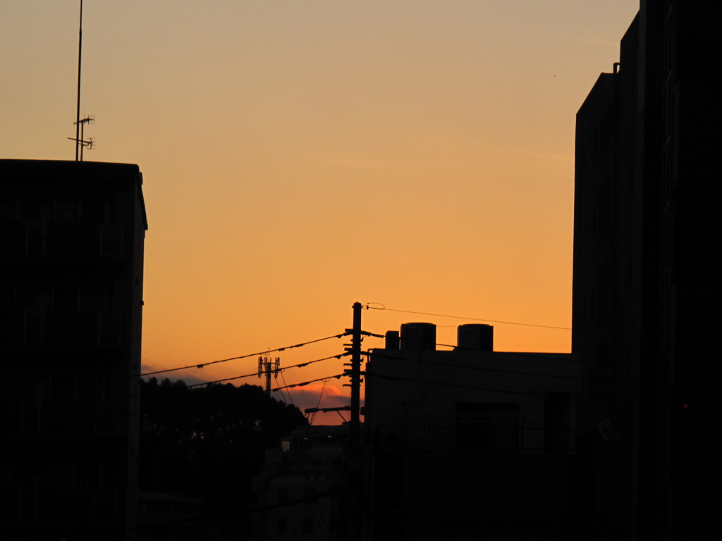 朝なのに
