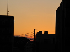 朝なのに