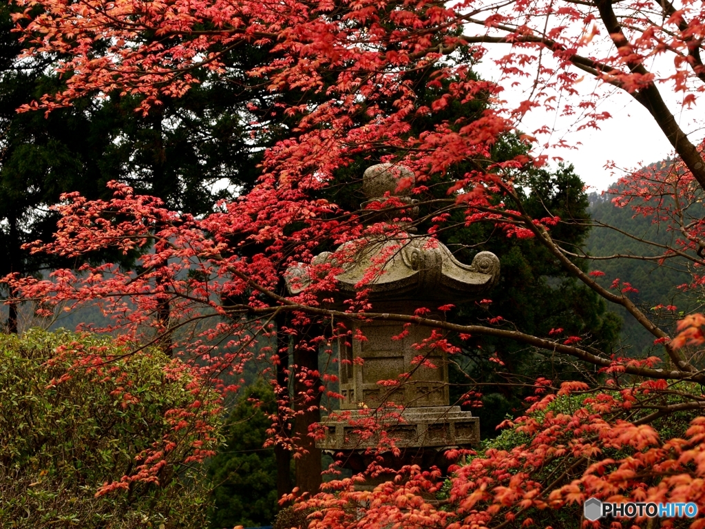 心ひかれる風景