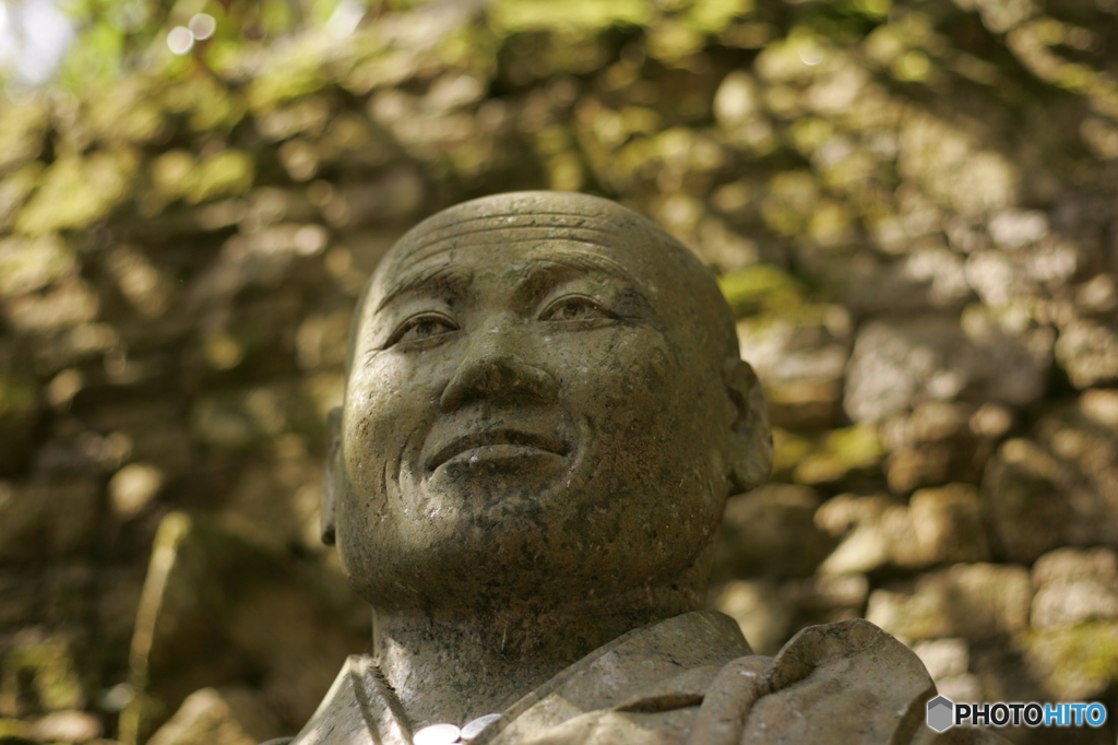 木漏れ日に