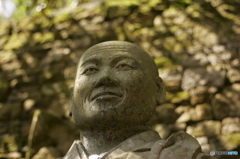 木漏れ日に