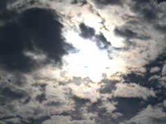 雲