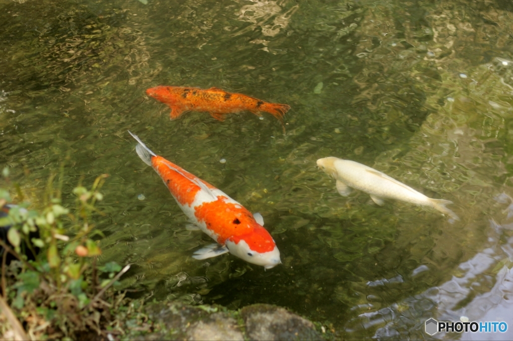 いつものように