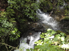 DSC02736