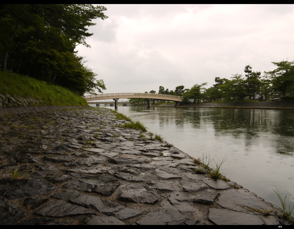　雨の　宇治川　　　　　　　253038352
